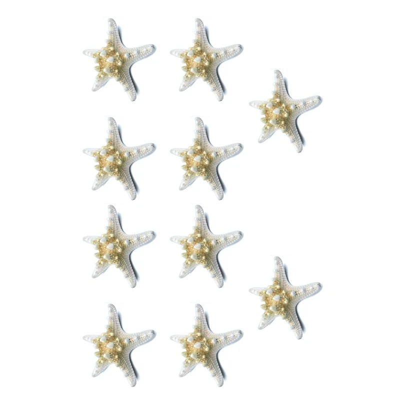 

10Pcs/Lots Crafts White Bread Sea Shell Starfish, Fashion Home Decorative Handicrafts