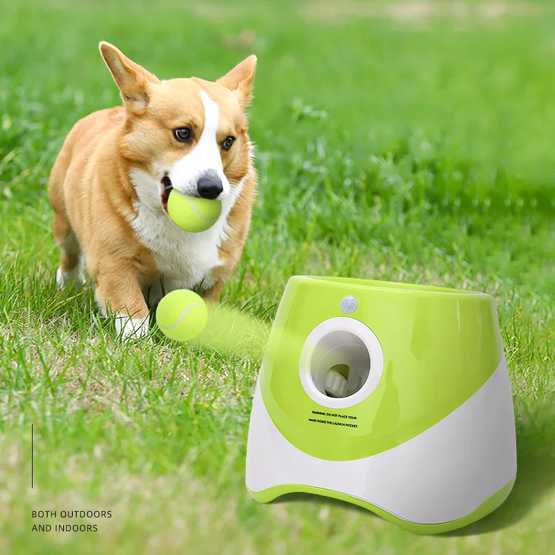 Автоматическая пусковая установка для бросания мячей в виде сетки собак