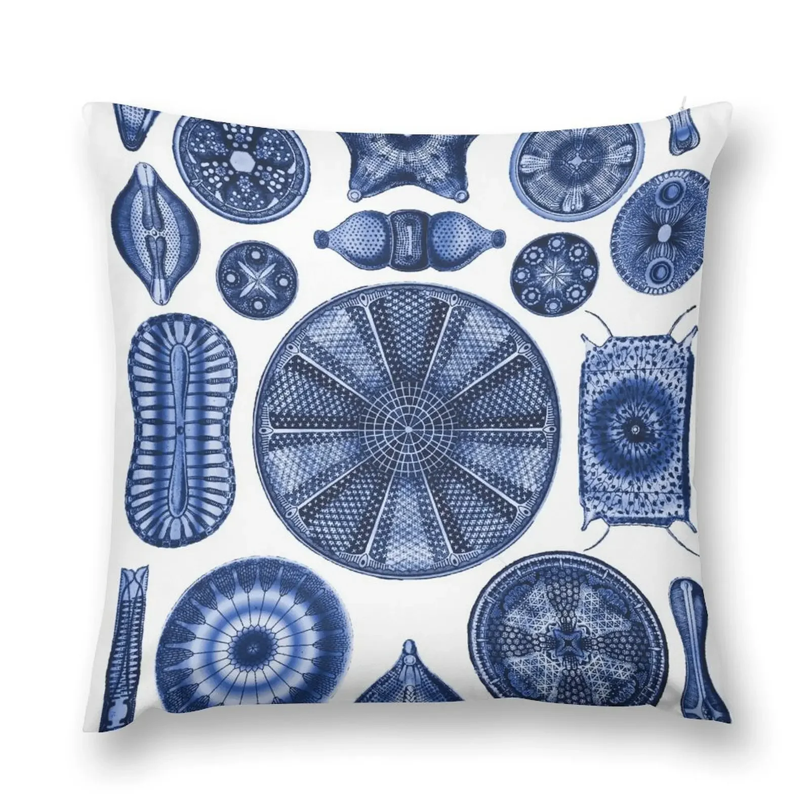 Ernst Haeckel Diatoms Indigo синяя декоративная подушка диванные подушки чехол