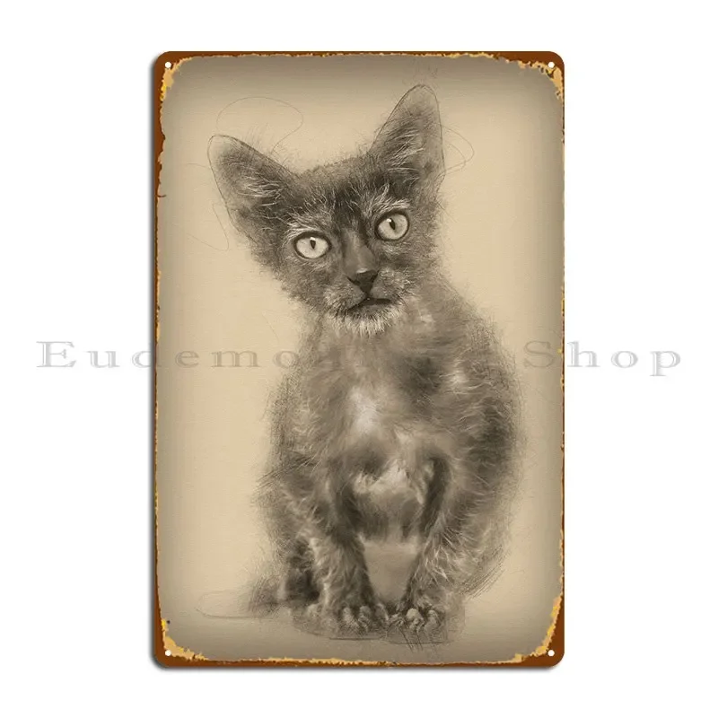 Фото Котенок Lykoi Cat 3-месяц металлическая табличка плакат клуб клуб бар печать настенная табличка жестяная вывеска плакат №1