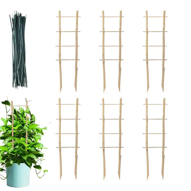 

Bamboo Plant Trellis 6 Pcs Pot Trellis for Garden with Twist Ties Plant Trellis for Vines Houseplant Ivy Orchid Roses Sweet Peas