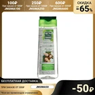 Шампунь для волос Чистая линия для всей семьи Березовый, 250 мл 1209771