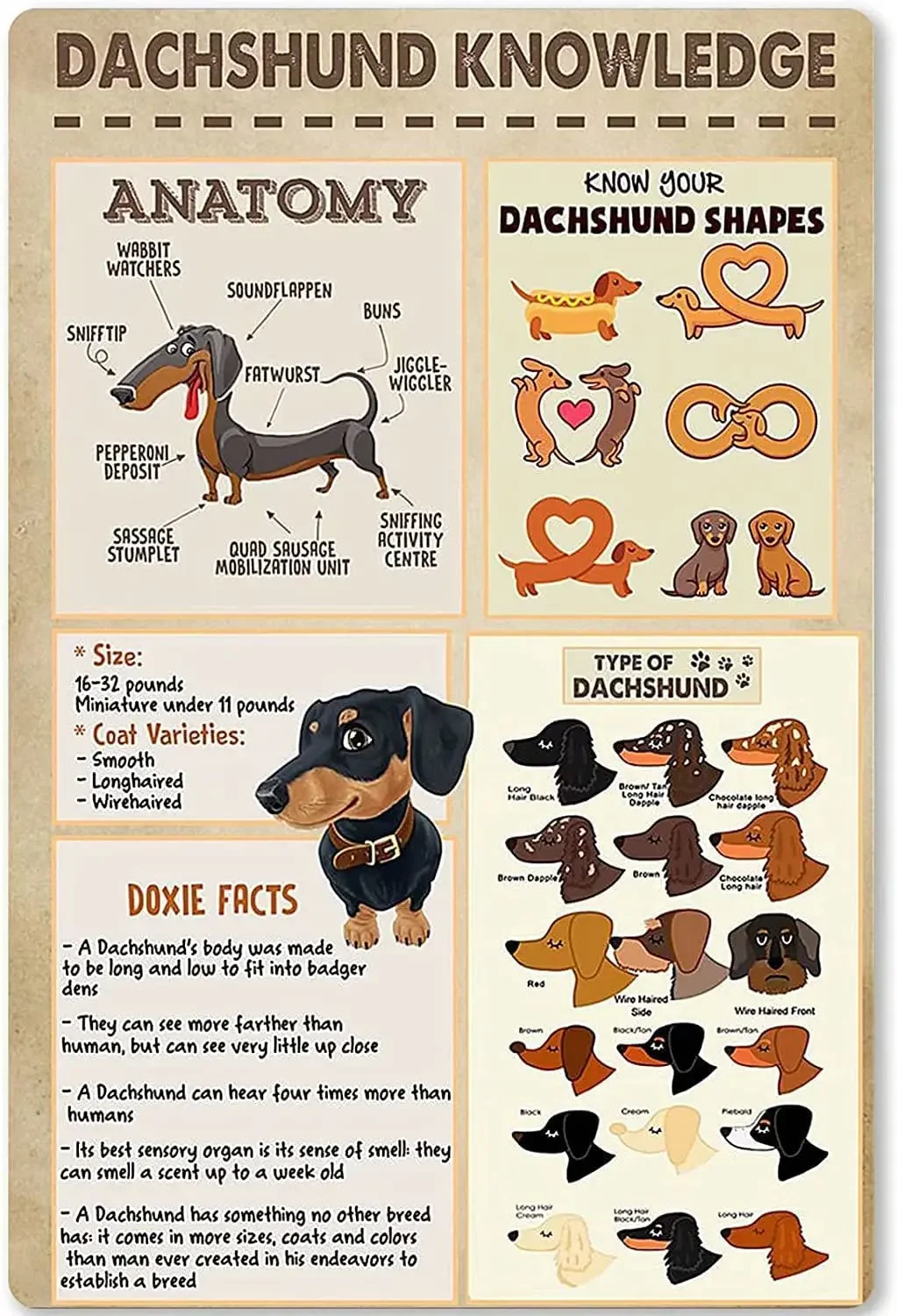 Металлическая жестяная вывеска плакат с знаниями таксы тип неравнивания