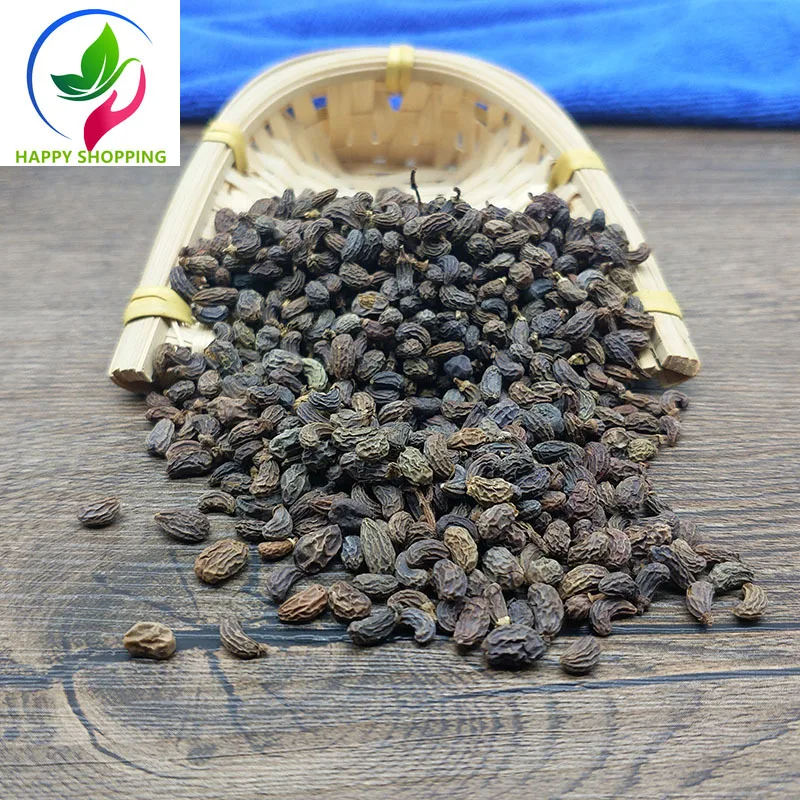 Фрукты глянцевого лигустрия люцида бесплатная доставка Холли люцид zhenzi |