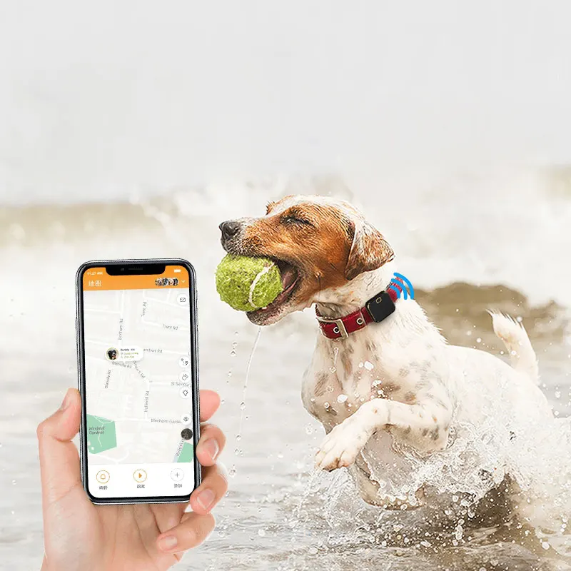 

4g Pet Tracker Intelligence Dog Training Gps Tracker