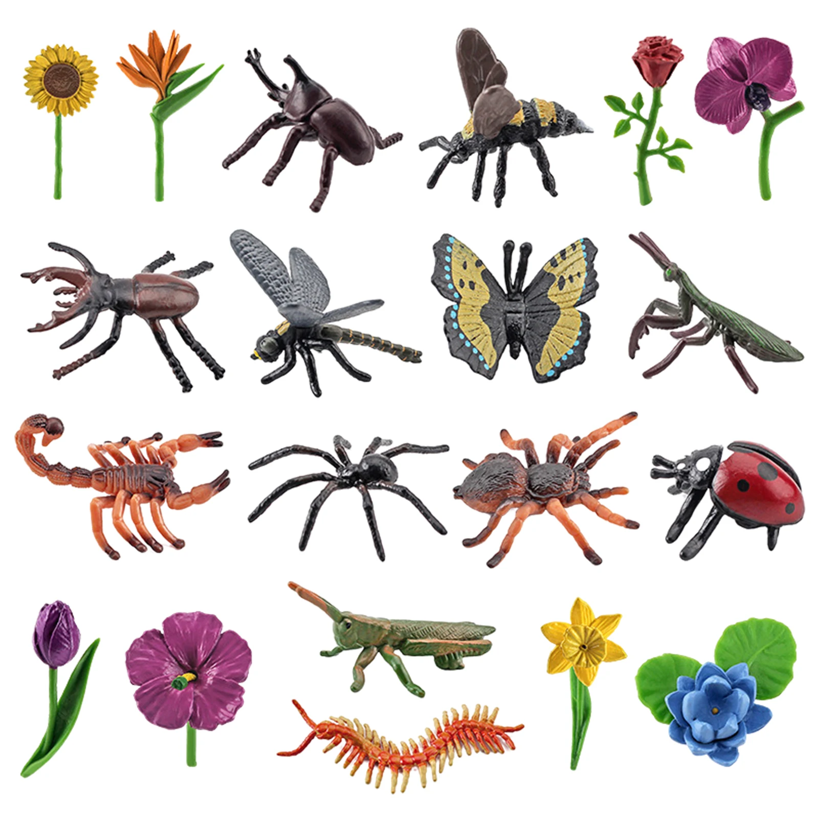 

Newest Simulation Insect Animals And Plant Flower Model Bee Spider Butterfly Action Figures Cute Educational Kids Toy Figures