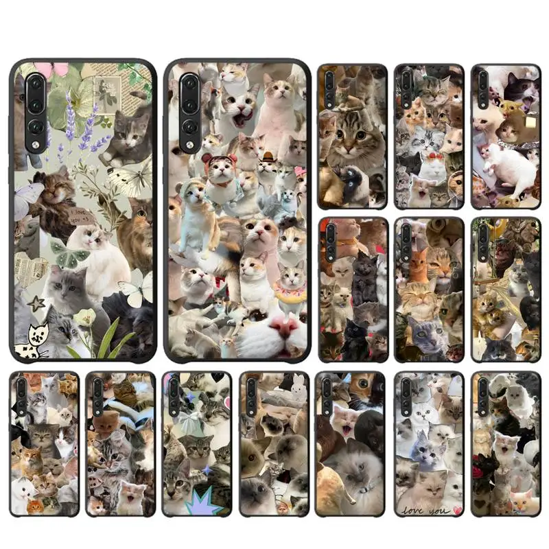 

Crying Cat Memes Phone Case for Huawei P30 40 20 10 8 9 lite pro plus Psmart2019