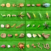 simulation animal grown cycle models beefrogflowersnailsearthwormsoctopus life cycle figurine set teaching learning toy kid