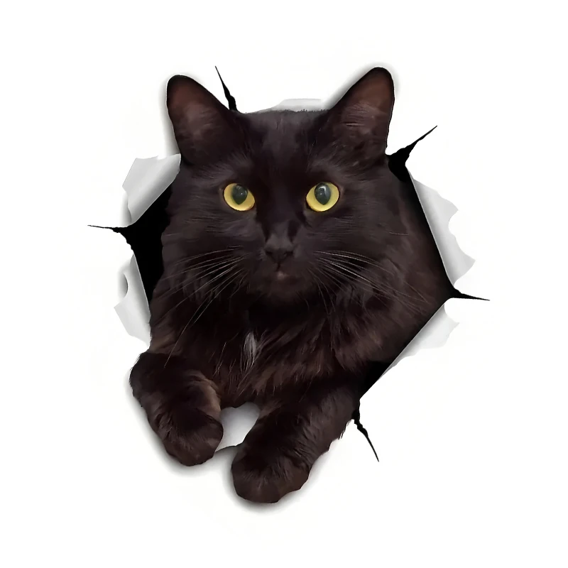 

1 шт., забавное украшение для комнаты с черным котом, украшение для гостиной, спальни, наклейки для туалета, наклейки на стену