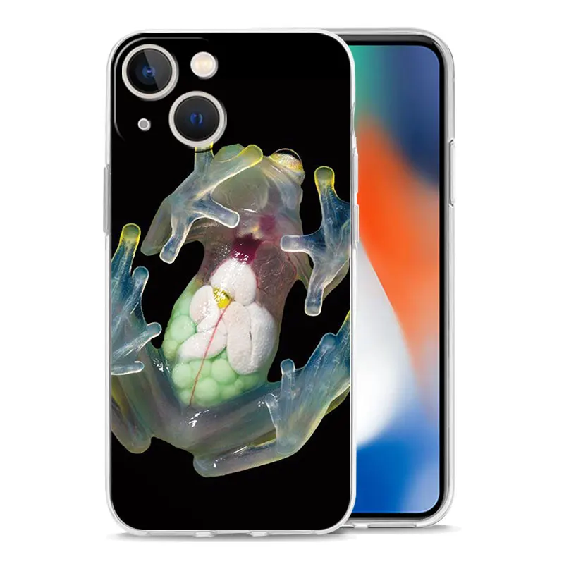 Фото Мягкий прозрачный чехол из ТПУ для iPhone 17, 16, 15, 14, 13, 12, 11 Pro Max, 17 Air, 7, 8 Plus с реалистичным принтом лягушки №3