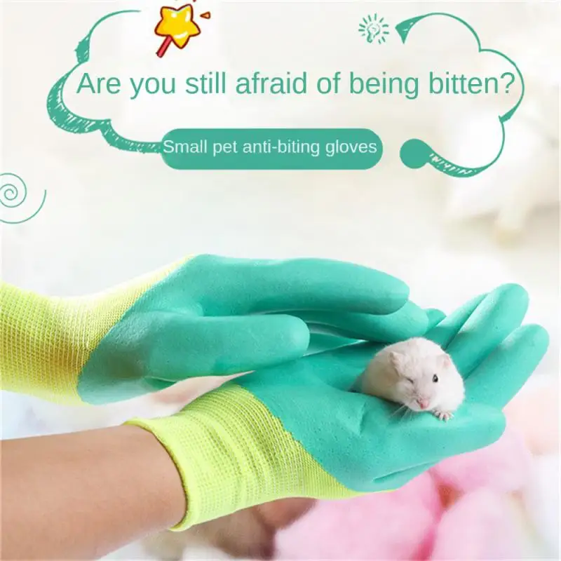 

Training Set Ergonomic Manual Design Made Of Nitrile Rubber Material Anti Bite Gloves Colorful And Fashionable Hamster Supplies