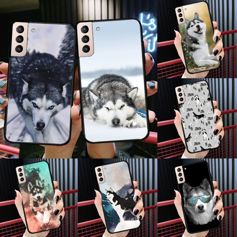 Alaskan Husky Dog Cute Puppy For Samsung Galaxy J1 J3 J5 J7 2016 A3 A5 2017 J6 J4 Plus J8 A6 A7 A8 A9 2018 Phone Case