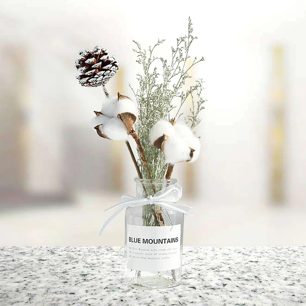 

Flower Vase Dry Kit Home Desktop Plants Adornment Natrual Ornament Office Photography Props