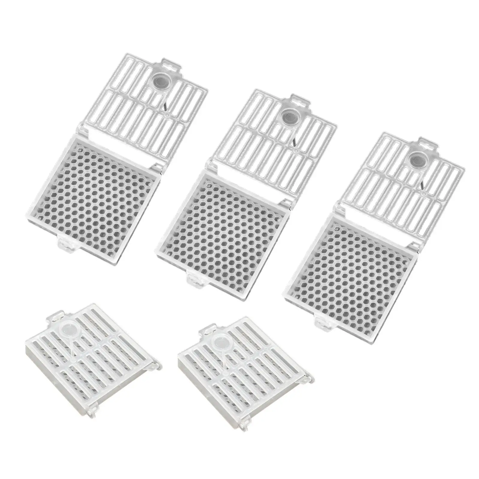 

5x Queen Cage Clear House Multifunction with Comb