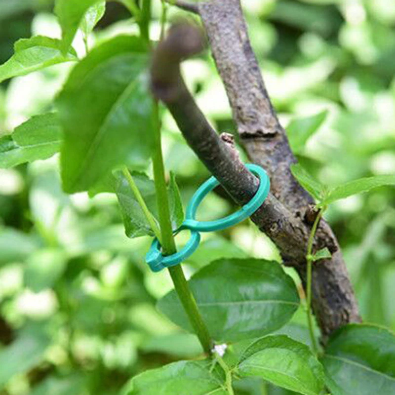 

50/100 Pcs Plant Support Garden Clips Trellis For Vine Vegetable Tomato To Grow Upright Garden Plant Stand Tool