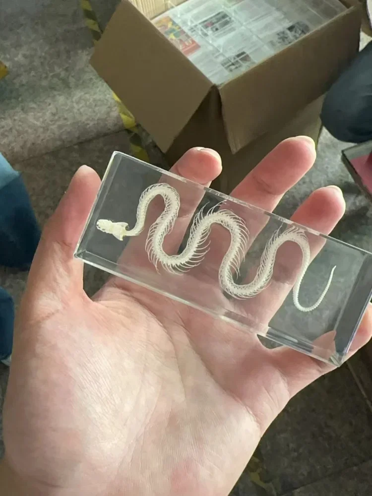 

Эпоксидная смола с скелетом змеи