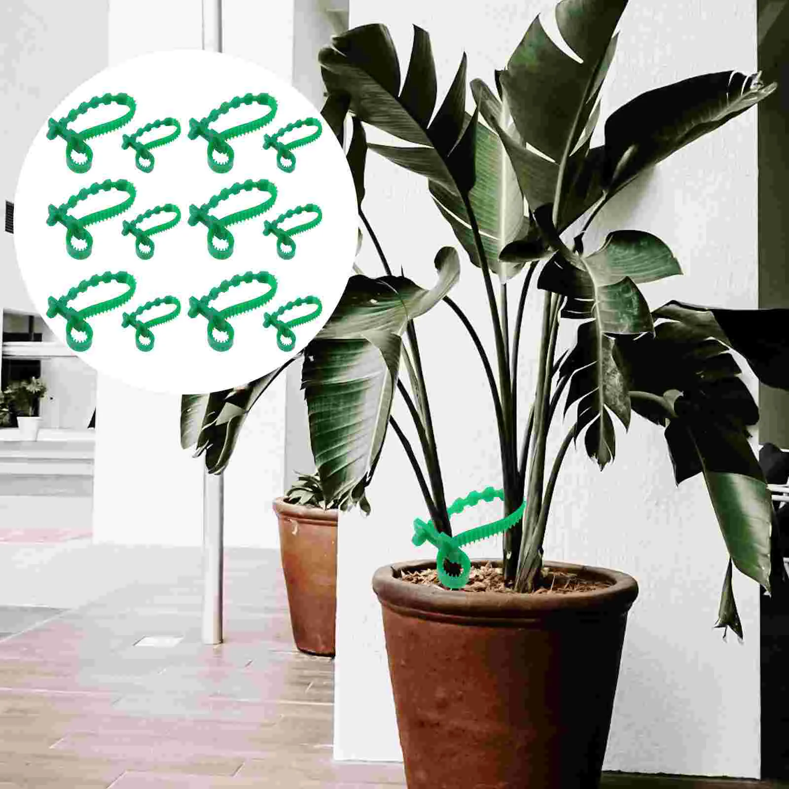 

10Pcs Plants Tree Ties Straps Supports Thicken Plastic 25cm 33cm Cable Tie