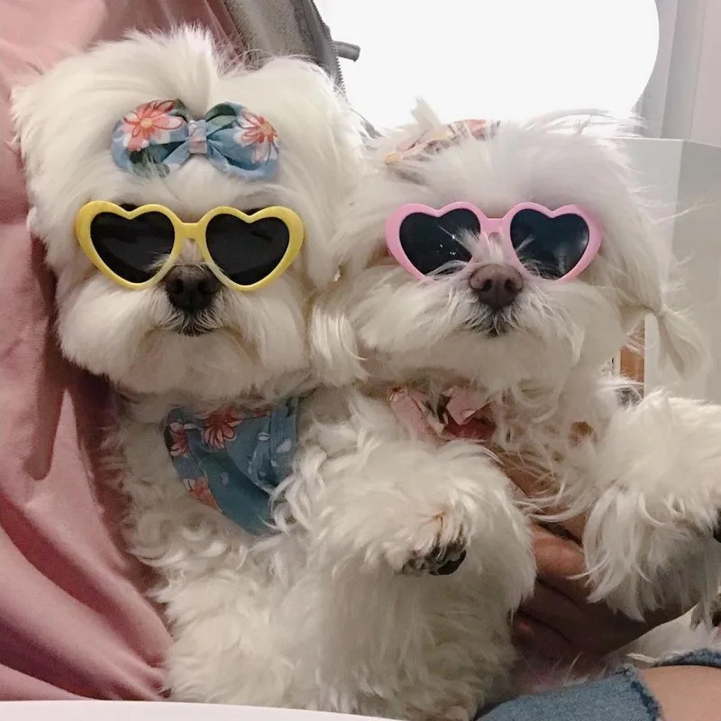

Модные очки в форме сердца для домашних животных Аксессуары для кошек реквизит для фотографий для щенков украшения для собак отражающие очки