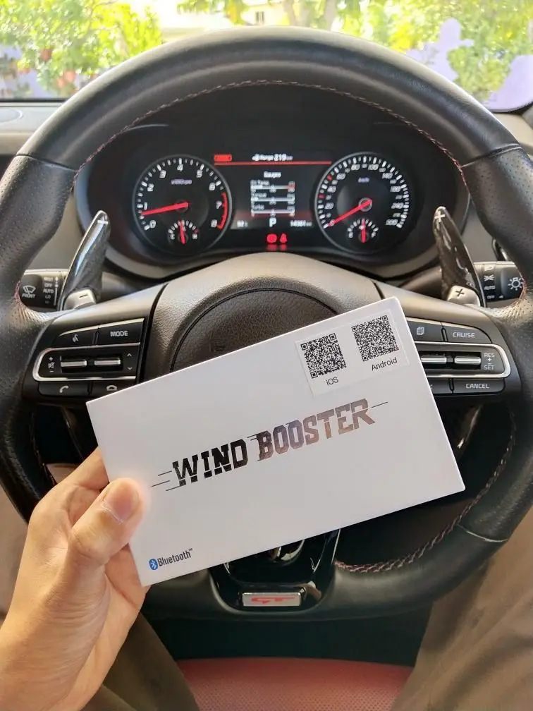 Электронный регулятор дроссельной заслонки для Ford Ranger