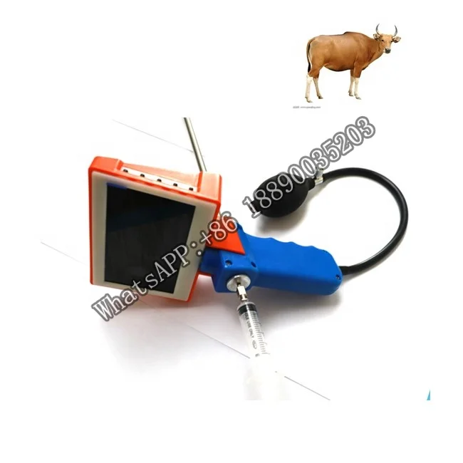 

mare cow cattle sheep goat ovine artifical insemination gun in farm insemination monitor technology TCI machine