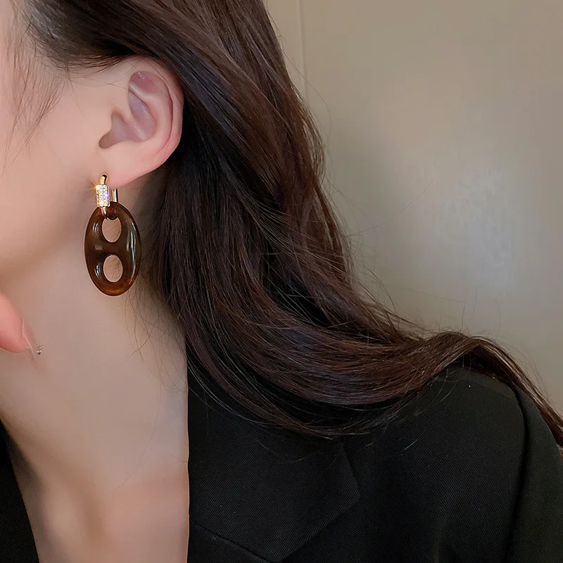 

French Retro Resin Pig Nose Zircon Earrings Light Luxury niche High-end Dangle Earrings Fashion OL Jewelry for Women Girls Gifts