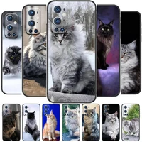 maine coon for oneplus nord n100 n10 5g 9 8 pro 7 7pro case phone cover for oneplus 7 pro 17t 6t 5t 3t case