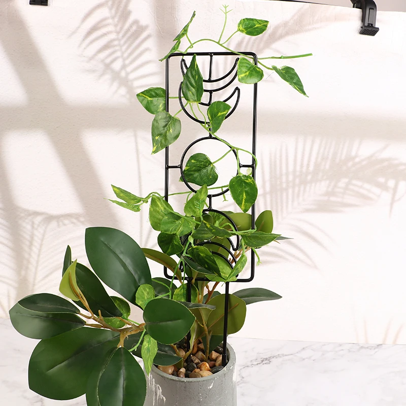 

1Pc Indoor Plant Lattice Frame Climbing Plants Small Garden Lattice Frame Plants Climbing Support Frame Moon Climbing Vine