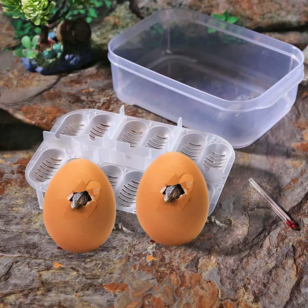 

12 Grids Plastic Reptiles Egg Incubator Tray Eggs Hatcher Case for Lizard Snake Necessary Household Pet Hatching Gadgets