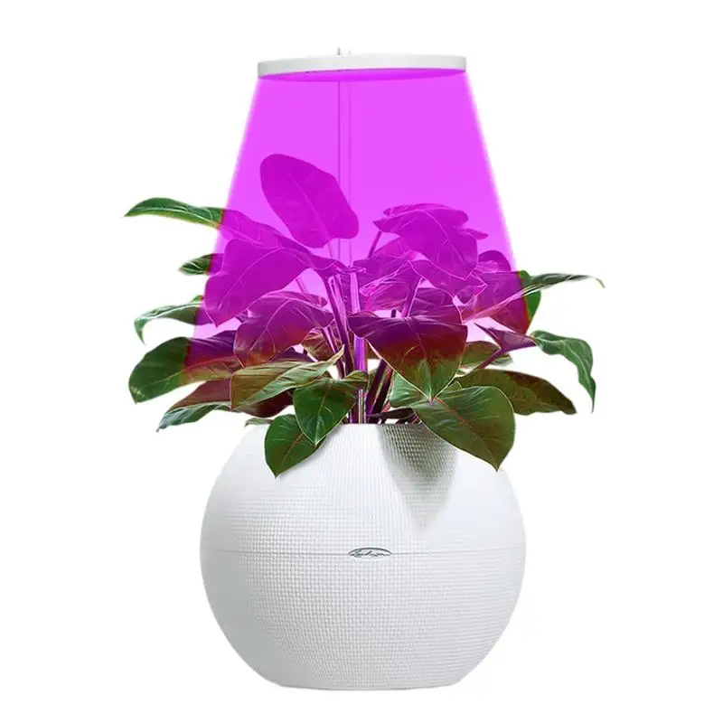 S For Plants Led Full-spectrum Plant Lamp Round Lamp For Plants Led Plant Bulbs For Green Dill Roses Cactus Mini