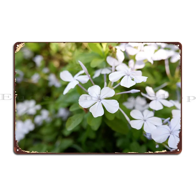 

Красивый свежий цветок металлический плакат на стену гаража Декор Пещера Железный классический жестяной плакат