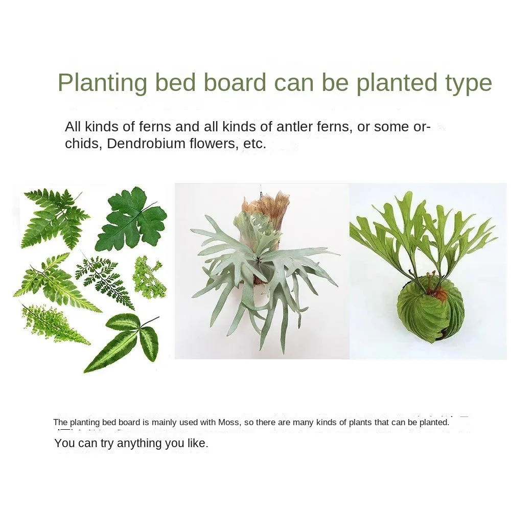 Черная утолщенная доска для папоротника Staghorn Dendrobium пластиковая посадки растений