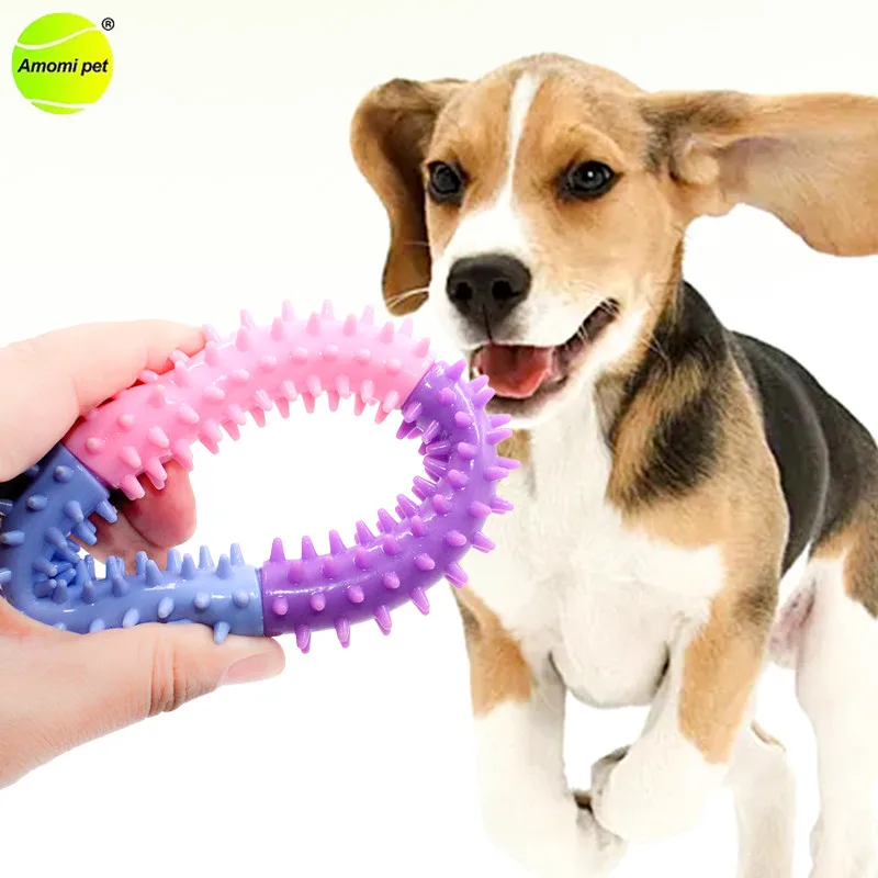 

Pet Bite Resistant Toy Multicolor Ring Shape Ring Dogs Chew Toys Soft TPR Safe Cleaning Tooth Toy Durable Bite Chew Dog Toys