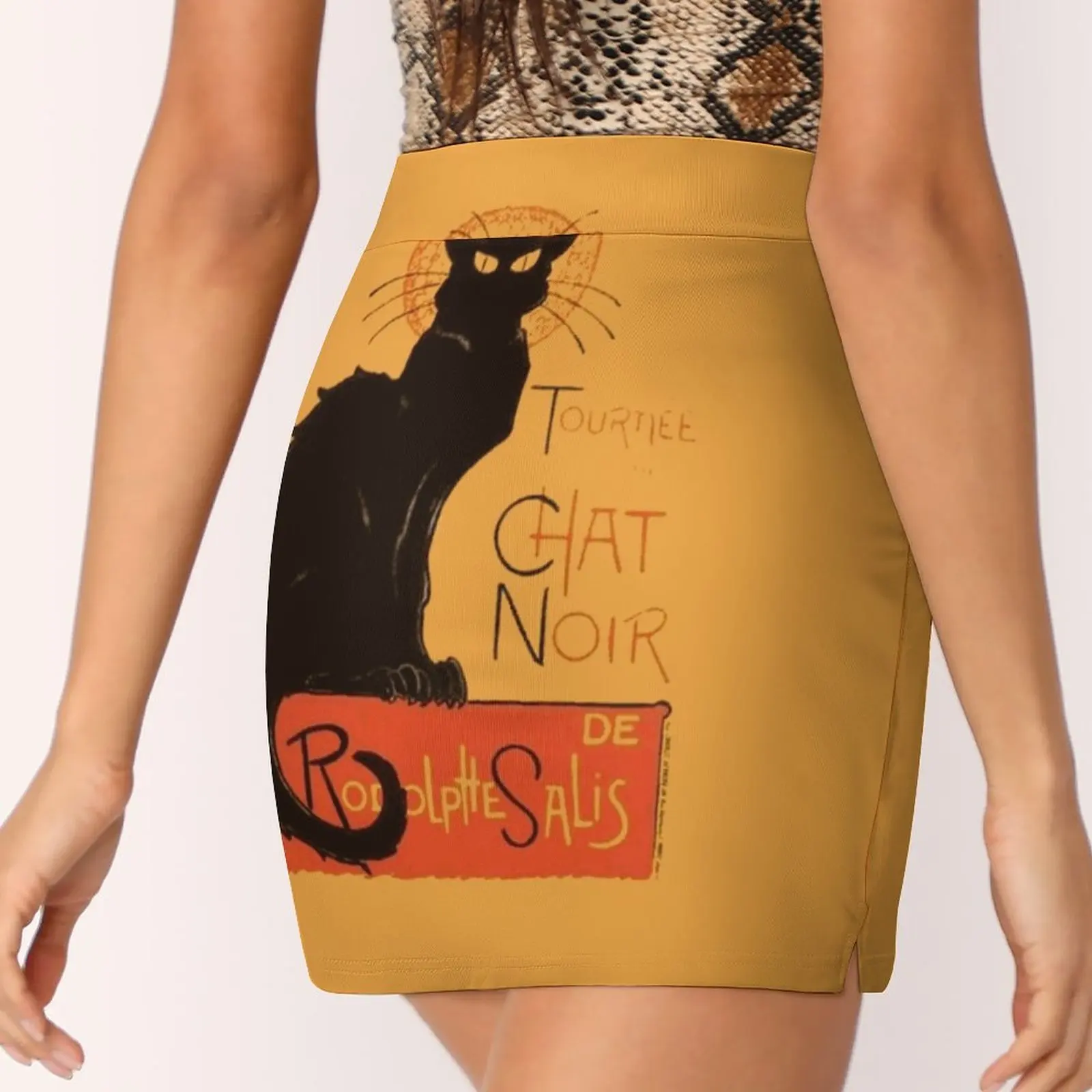 Tournee Du Chat Noir-After Steinlein Юбки Женская мода 2022 брючная юбка мини-юбки офисная короткая