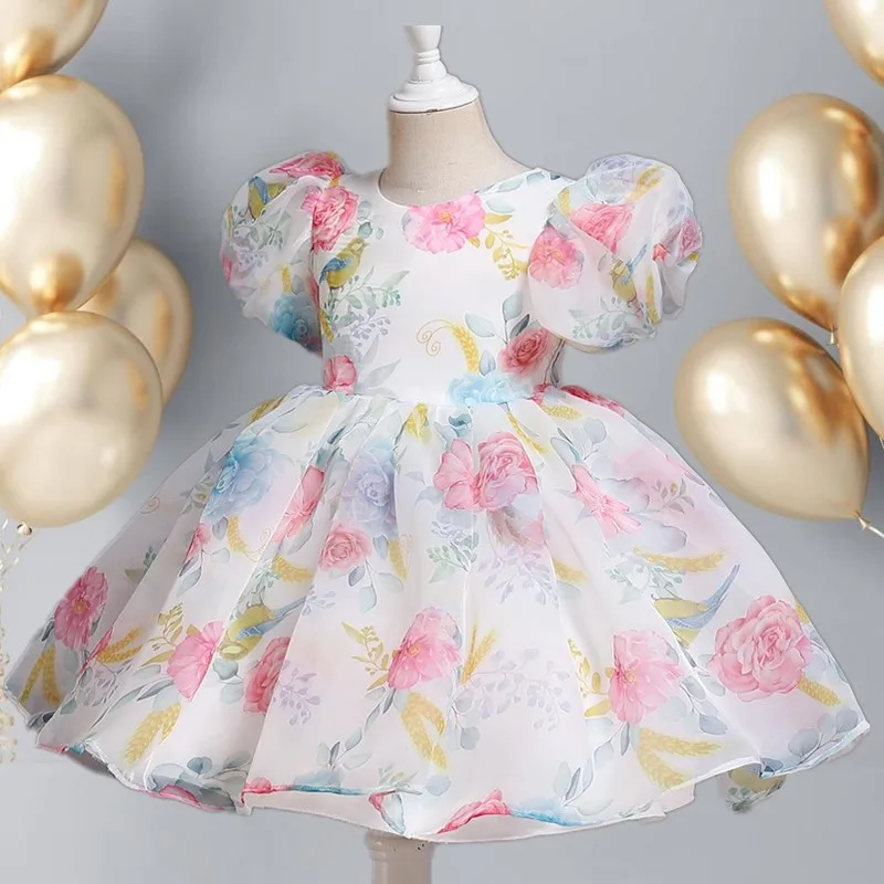 

Kids Princess Dress Flower Girls Dress for Weddings Kids Puff Sleeve Tutu Ball Gowen for Birthday Party Baby Girl Dress