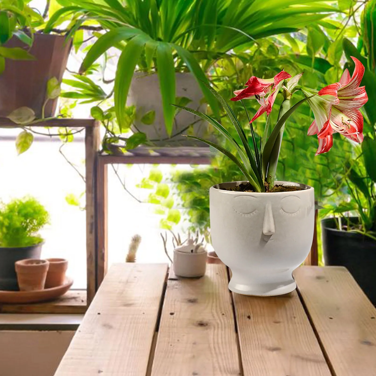 

Горшок для лица, керамический горшок с отверстиями, уникальный и милый горшок, эстетичные горшки для помещений и улицы, домашний цветочный горшок для влюбленных