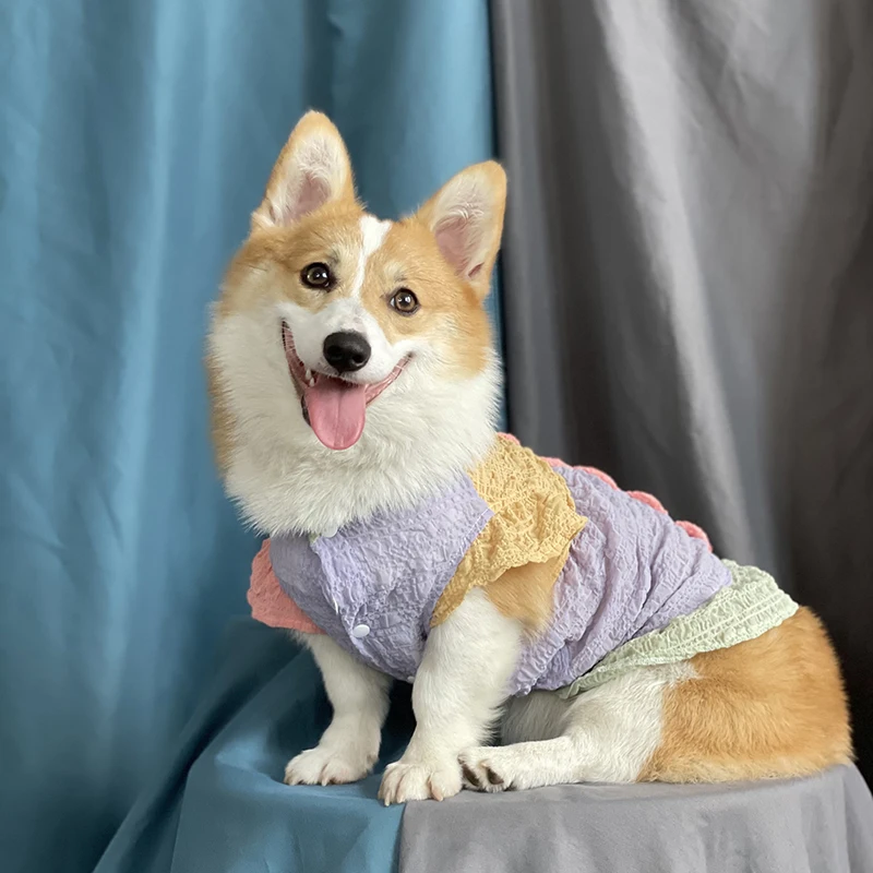 

Летнее платье с изображением кошки, вельш корги, собаки, чихуахуа, Йорка, юбка, пудель, Бишон, шнауцер, костюм, одежда