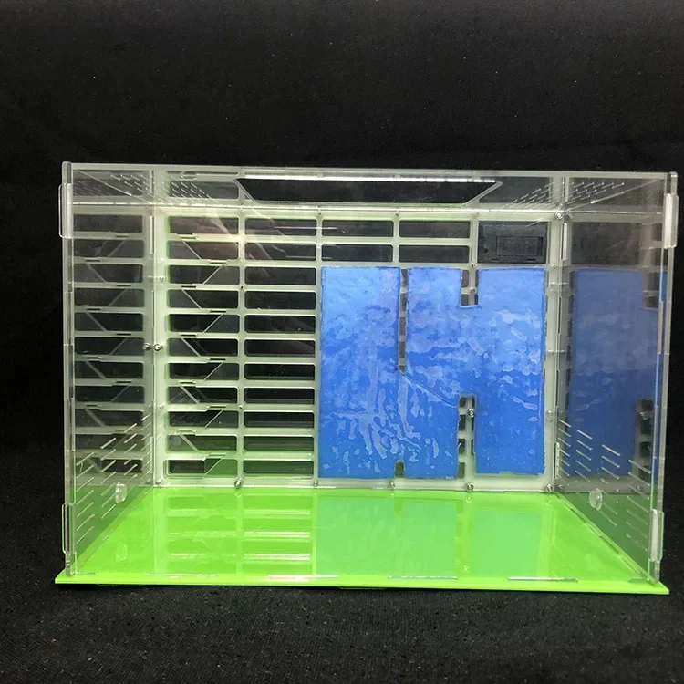 РАЗМЕР KING Профессиональное муравьиное гнездо с зоной для кормления Ant House Pet Anthill