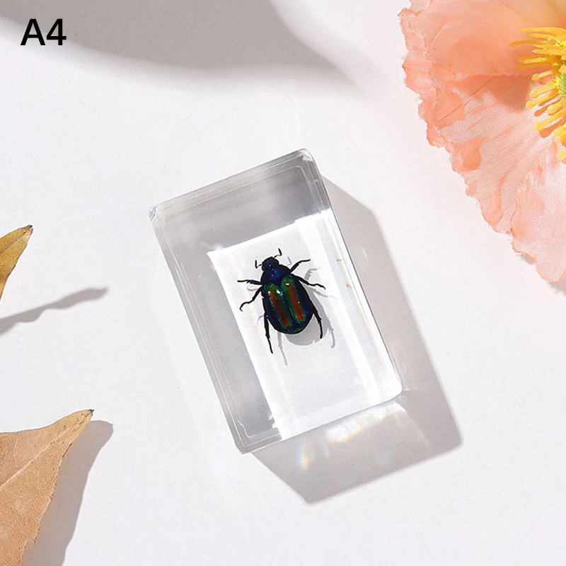 

Фигурки жуков CANAMEK из пластика