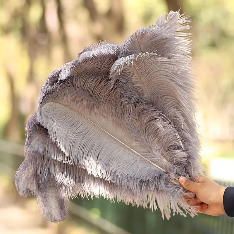 10 шт./партия декоративные перья страусиного дерева |