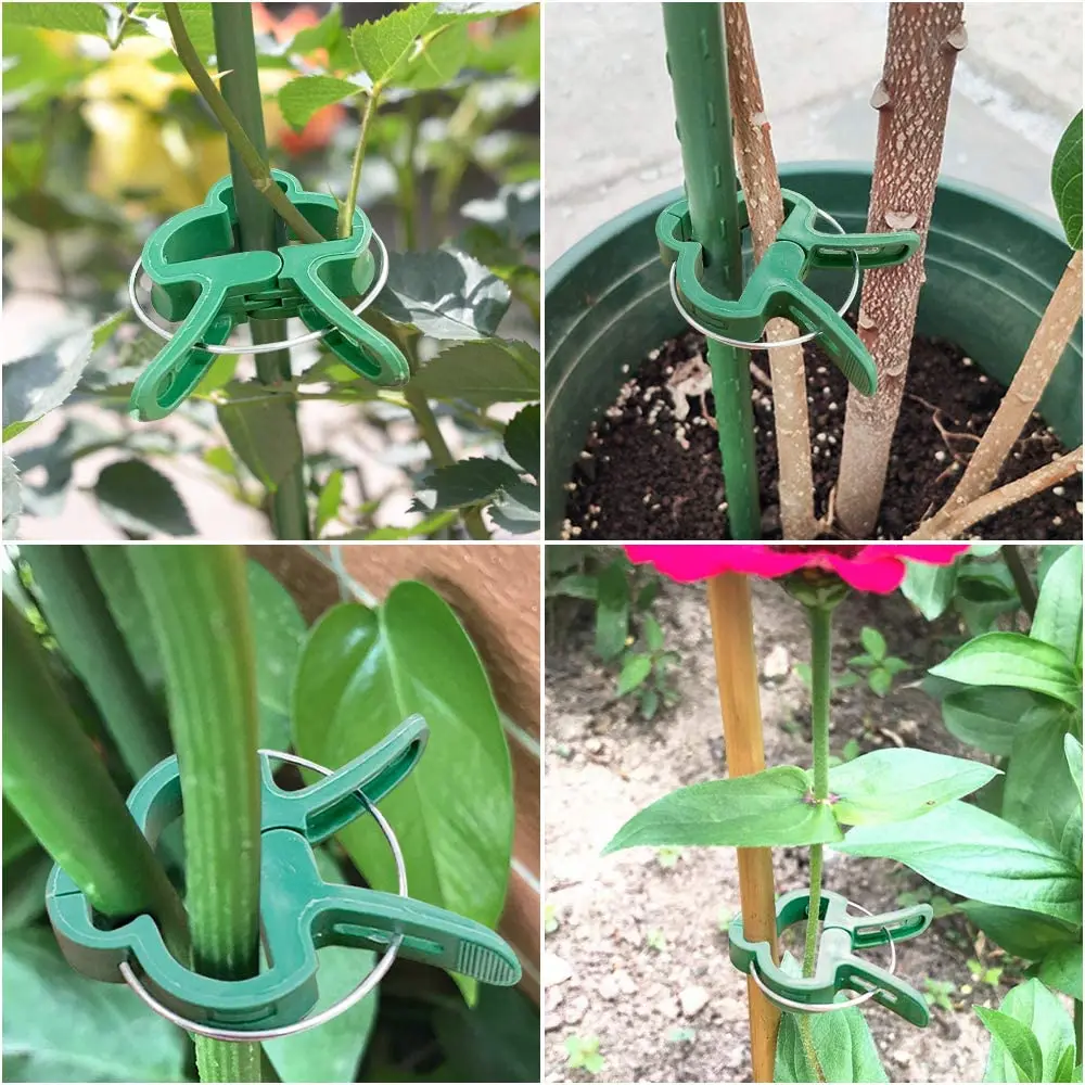 

20-Pack Plant Support Clips for Flowers and Vines Stems Vines Support Growth Upright Climbing