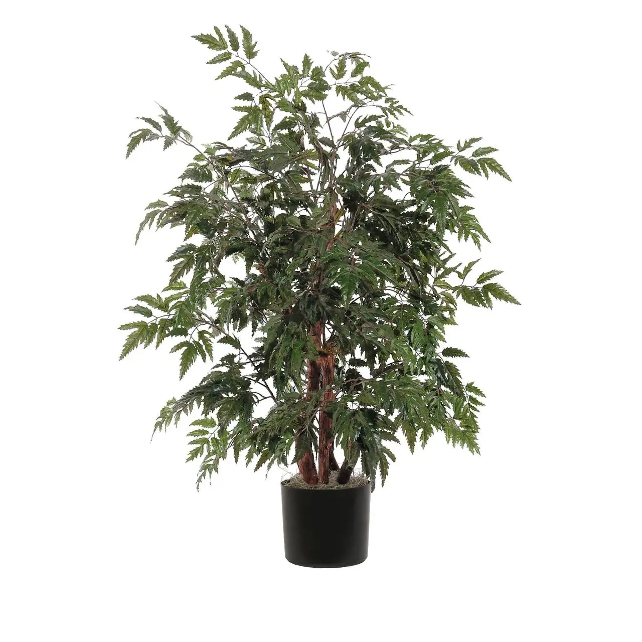 

4 'Искусственный Буш Ming Aralia, корзина из ротанга