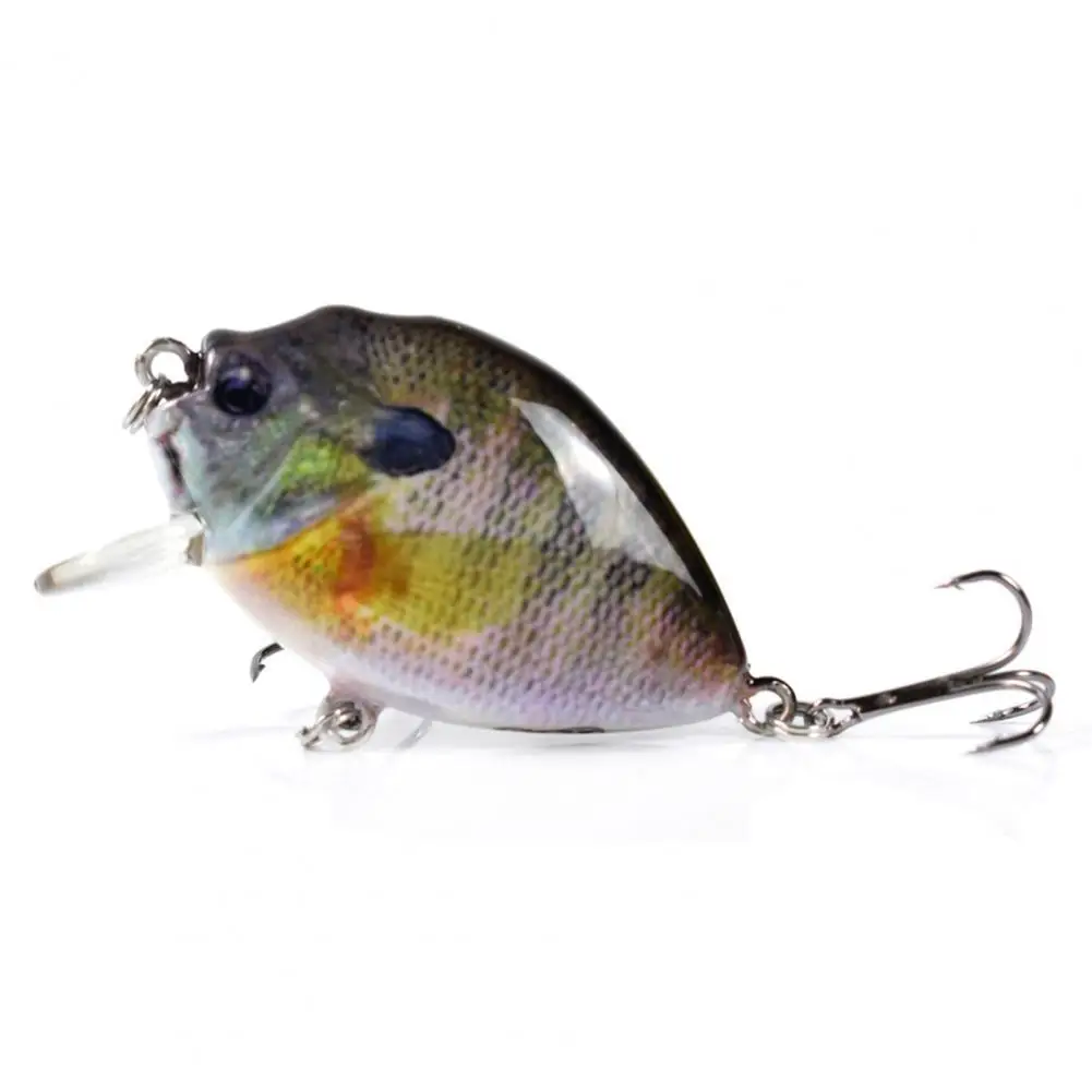 

Compact Artificial Bait Anti-rust Mini Vivid Painting Print Artificial Bait Fishing Lure Bait Sunfish Lure