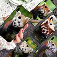 red panda cute animal phone case for xiaomi redmi note 7 8 9 11 i t s 10 a poco f3 x3 pro lite funda shell coque cover