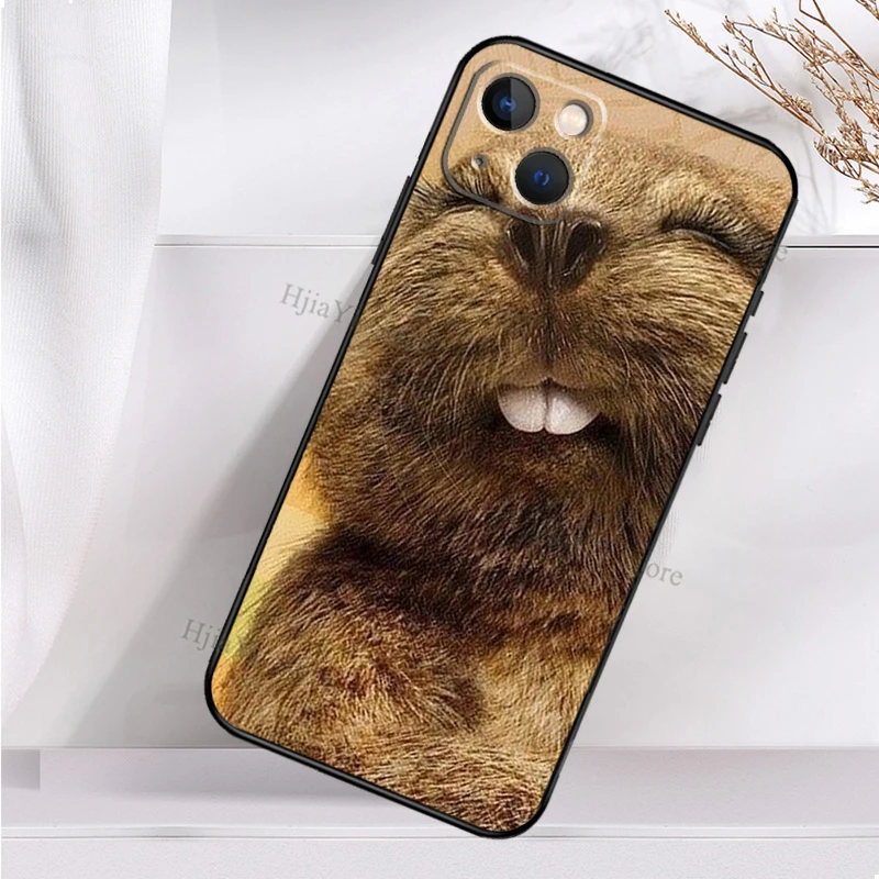 Мягкий противоударный чехол для iPhone 11 12 Pro X XS XR 7 8 Plus SE 2020 13 Max | Мобильные телефоны и