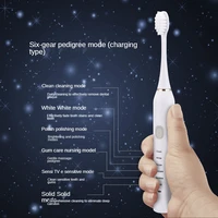 sonic electric toothbrush for 6 mode smart timer whitening ipx7 waterproof usb charger replaceable head soft hair remove tartar