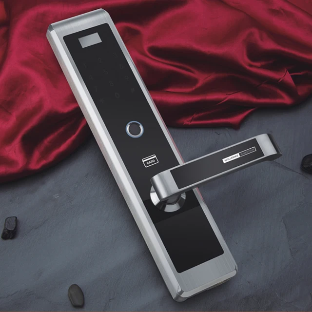 

Электронный идентификатор отпечатка пальца Goodum, радиочастотная карта, умный дверной замок GT050 для дома