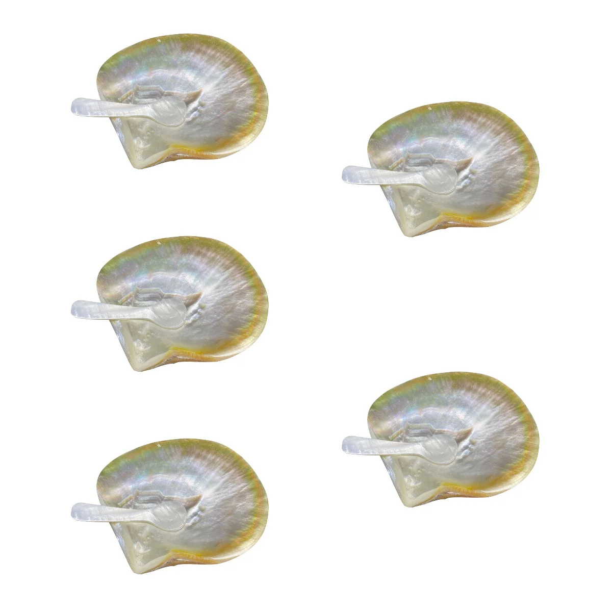 

5x Multipurpose Dish Shell Seasoning Household Storage Plate Home Breakfast