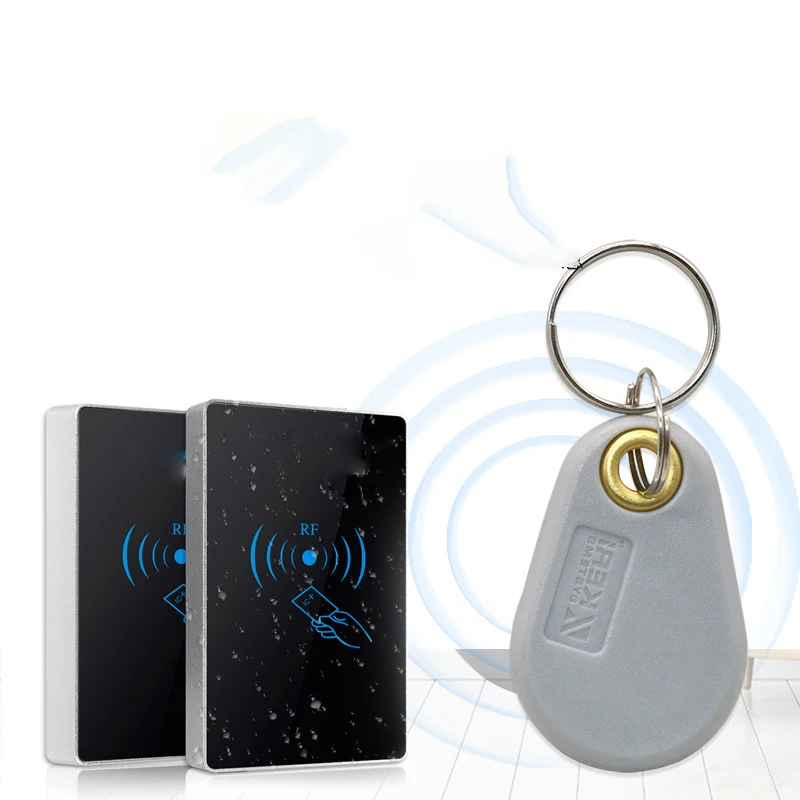 Фото 50/100 шт. ID 125 кГц EM4305 T5577 записываемые RFID-метки для ключей кольцевые жетоны брелоки перезаписываемый серый брелок для карт копия клон дубликат №1