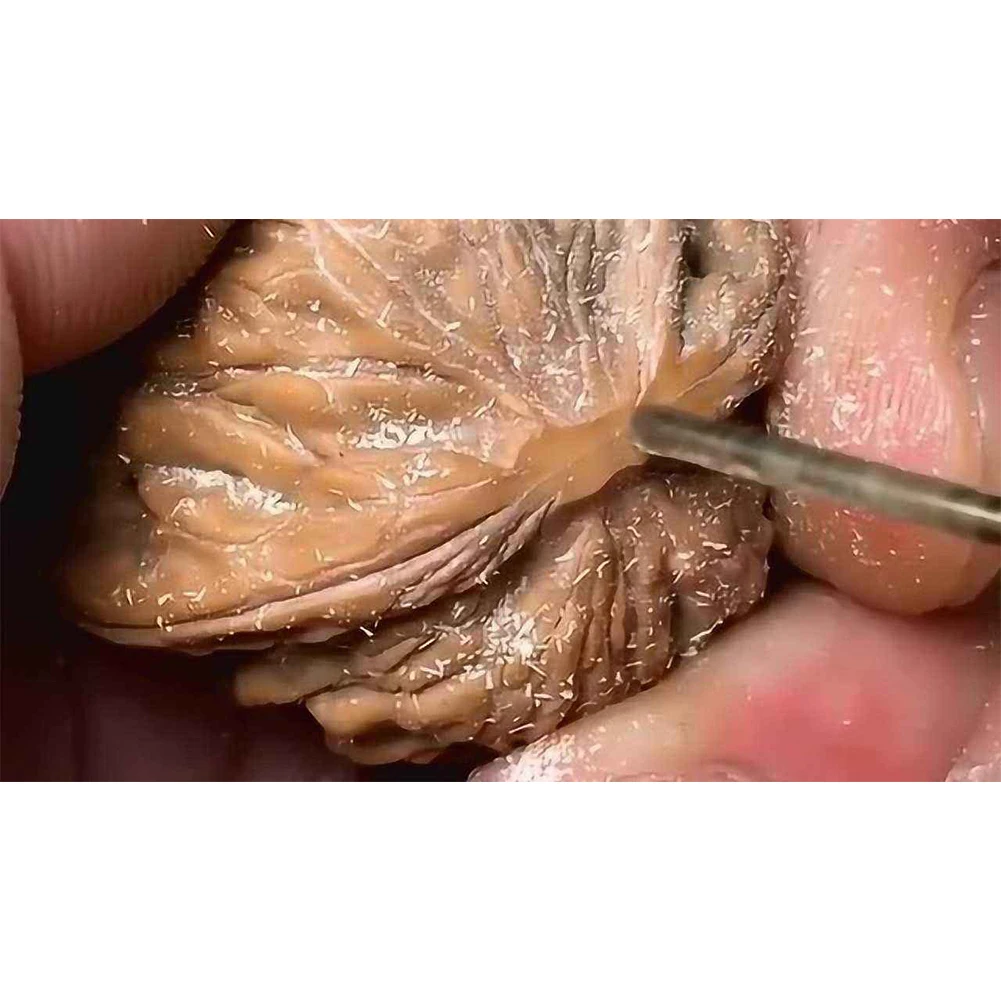 ОВАНИЕ прецизионные сверла Vibratite идеально подходят для работы на пластиках и