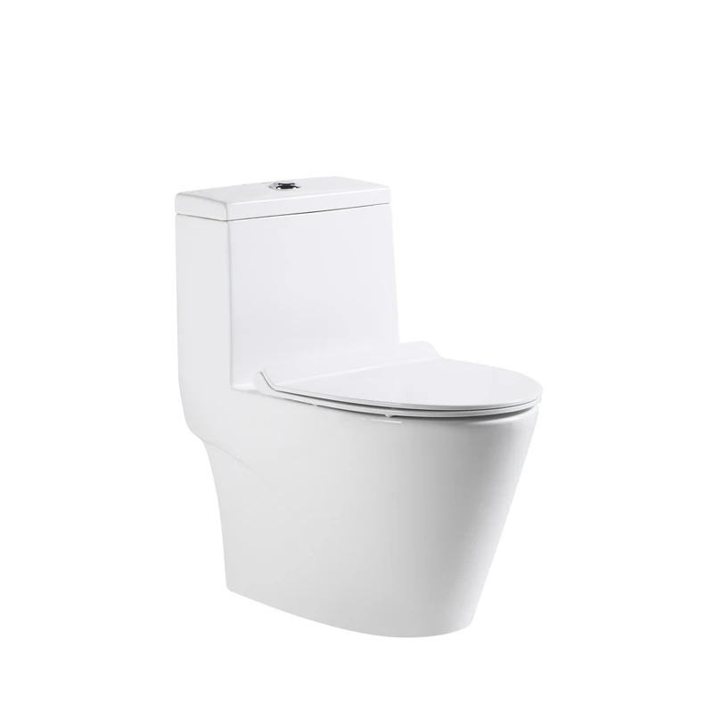 

Water saving one piece toilets with flushing system
